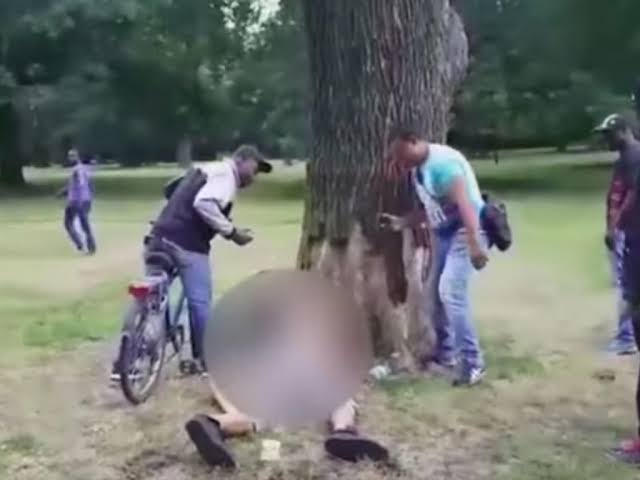 Sexo en el parque 